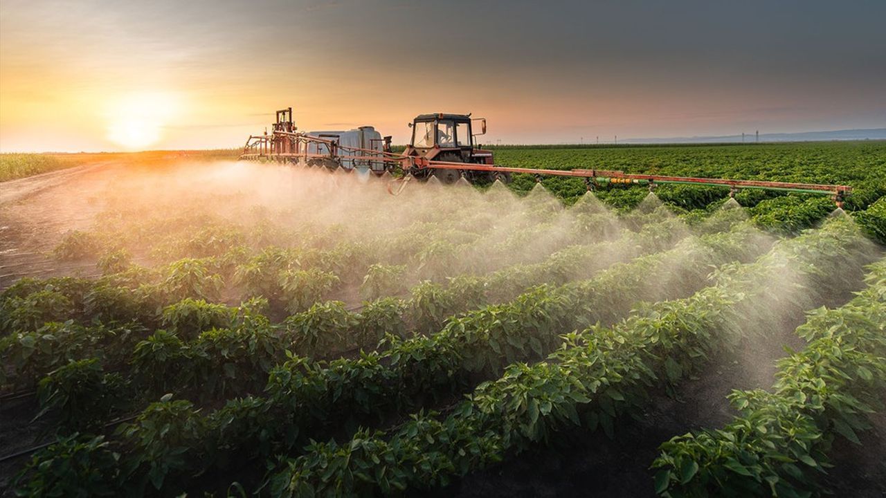 Colère des agriculteurs : les défenseurs de l'environnement " abasourdis " après la " pause " sur les pesticides