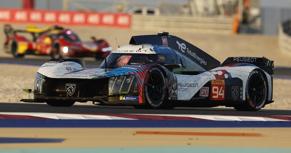 Endurance : Porsche en pole au Qatar, Peugeot dans le coup, Alpine moins à l’aise