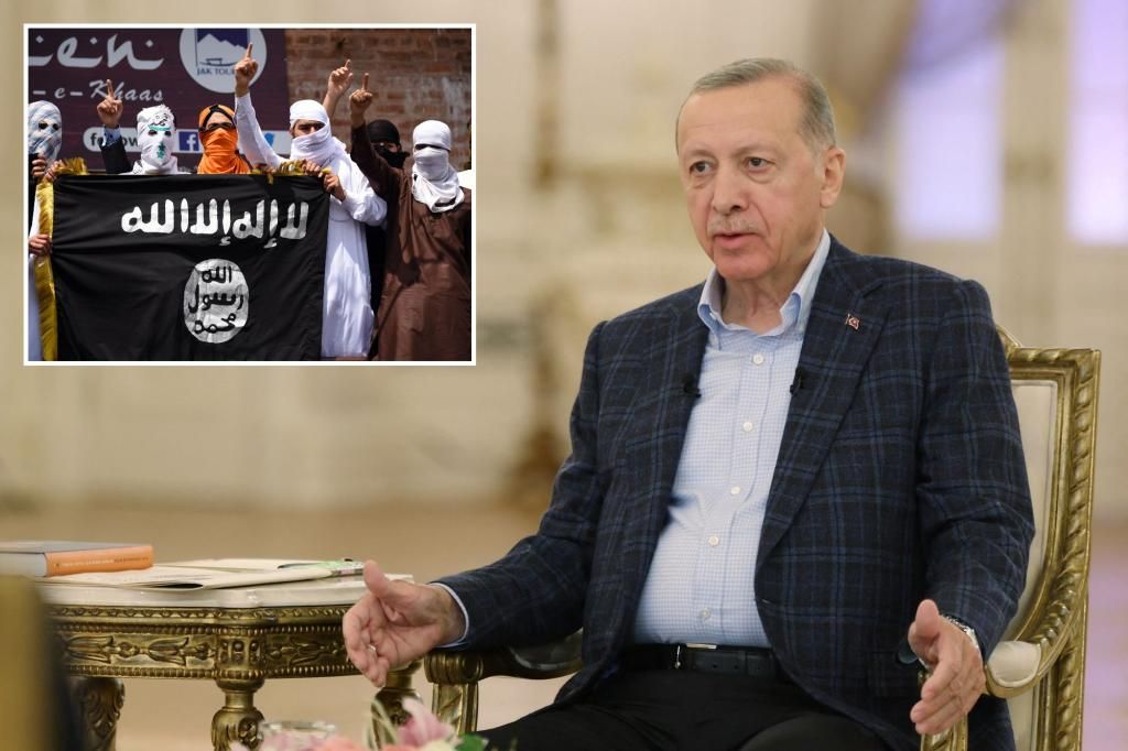 Turkish forces killed ISIS chief in Syria: Erdogan