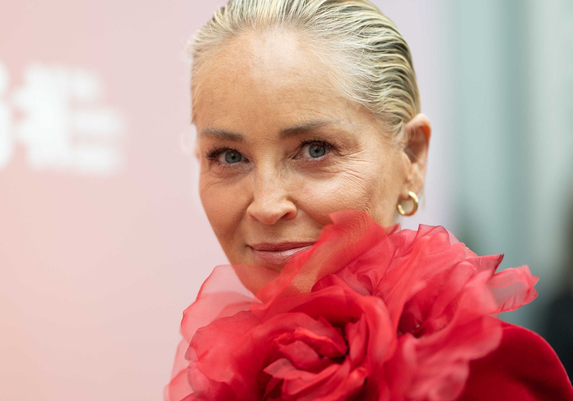 Sharon Stone affiche sa silhouette dans un sublime ensemble rouge au décolleté plongeant