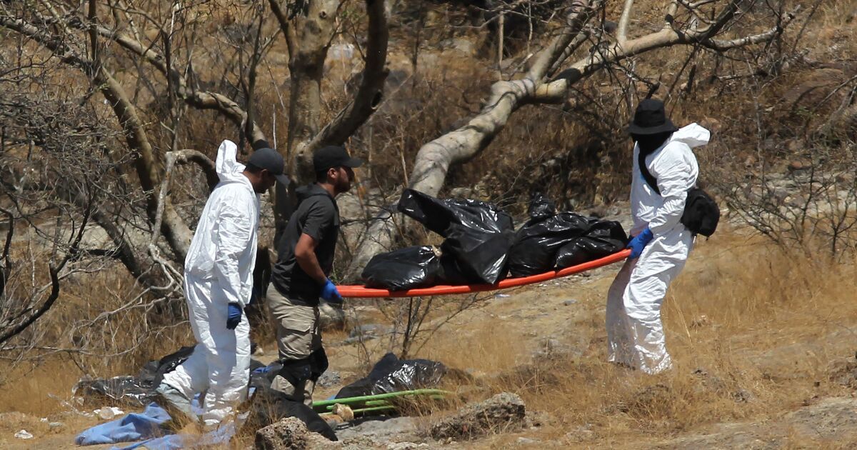 Mexican authorities find 45 bags of body parts near Guadalajara