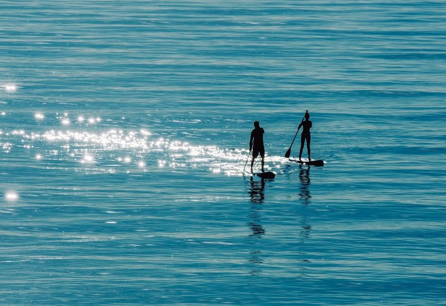 Ils font une balade en paddle et se retrouvent face à un terrifiant monstre marin (VIDEO)