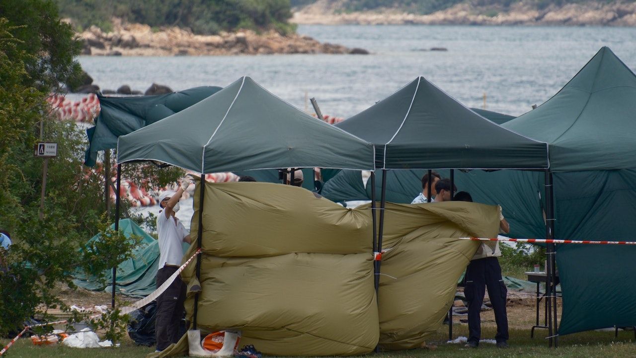 西貢鯨魚｜海洋公園：新傷口面積及深度較大 胃無海洋垃圾