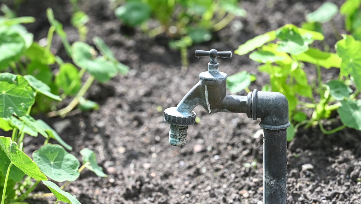 La sécheresse s'étend en Loire-Atlantique, l'eau potable classée en alerte