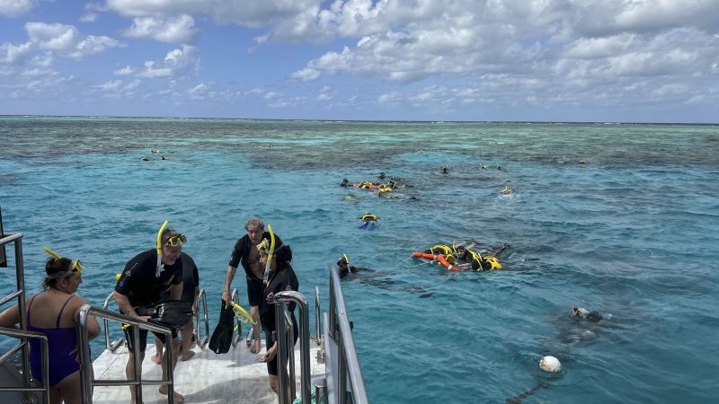 Great Barrier Reef stays off UNESCO 'in danger' list but hot El Niño summer looms