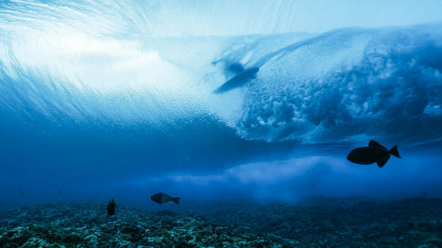 au cœur de la vague tahitienne de Teahupo'o, olympe des dieux du surf