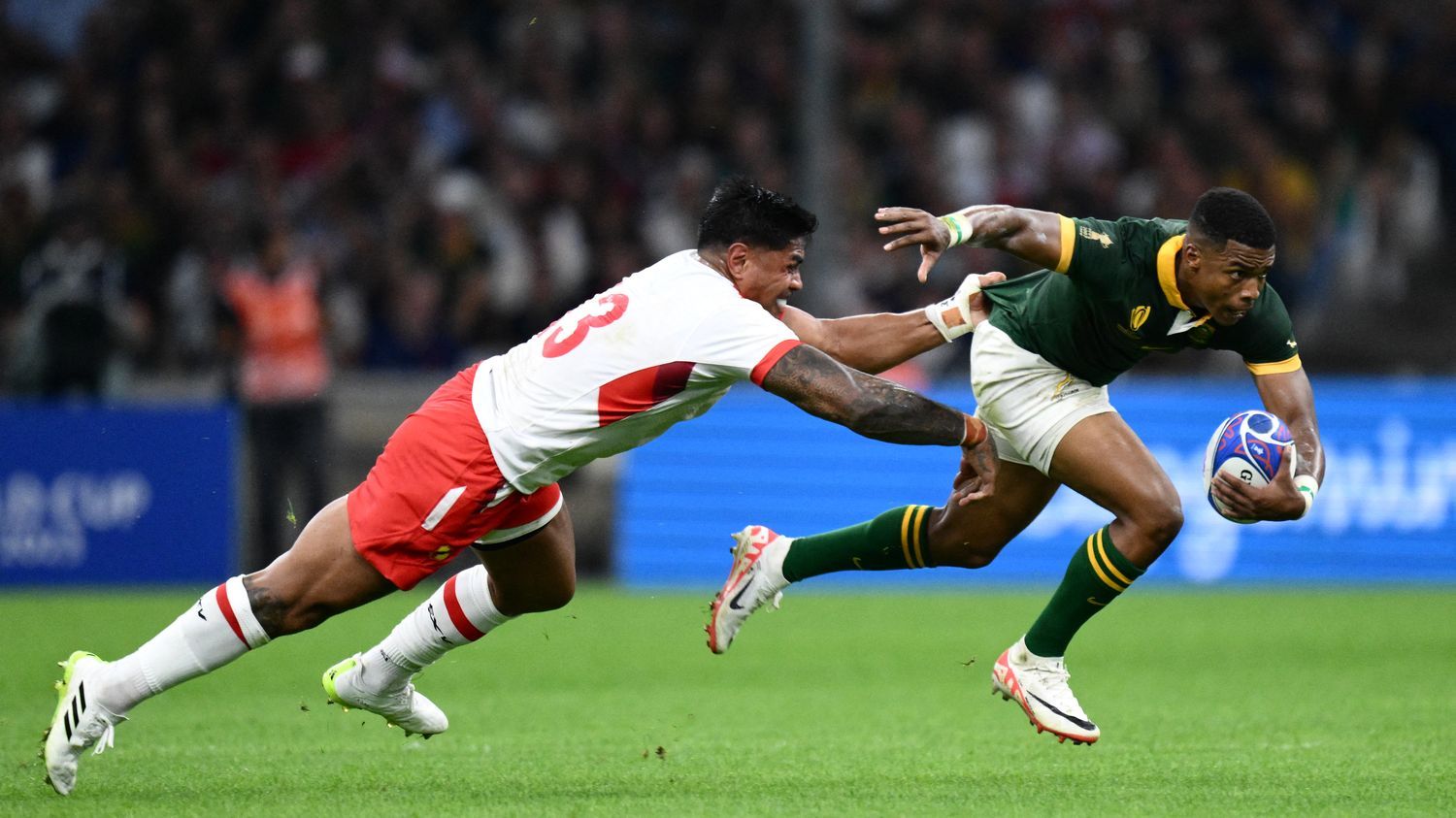 les Springboks devant mais sans le bonus... Suivez le match de la Coupe du monde de rugby