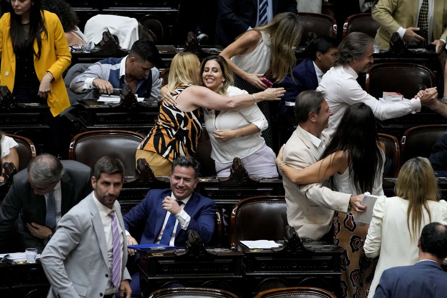 Argentine : les réformes dérégulatrices de Javier Milei franchissent une première étape au Parlement