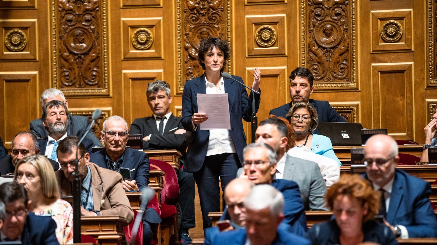 Transidentité : le groupe écologiste dépose un texte au Sénat pour faciliter le changement de genre à l'état civil