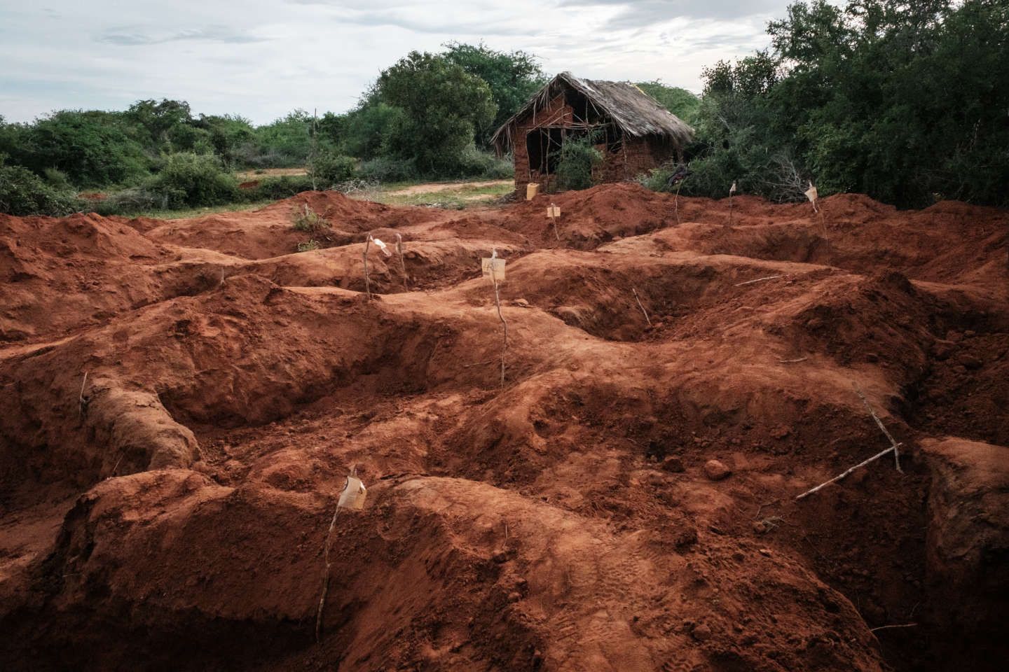 Au Kenya, deux pasteurs devant les tribunaux pour le " massacre de Shakahola "