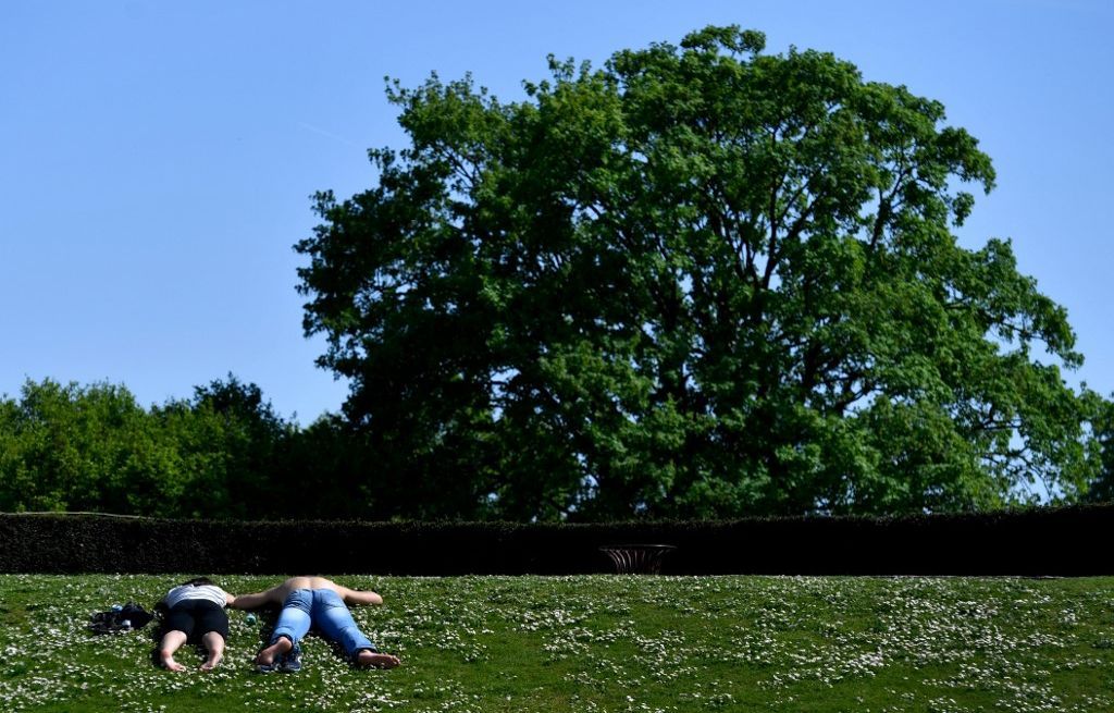 Journée mondiale des allergies : Le premier pollinarium ouvre à Paris