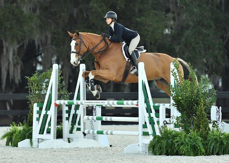 ‘We are still shaken’: Teen killed during equestrian competition in Venice remembered as rising star