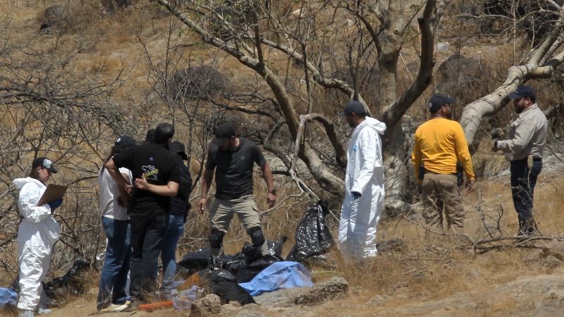 Mexico police found 45 bags containing body parts "matching characteristics" of missing call center staff