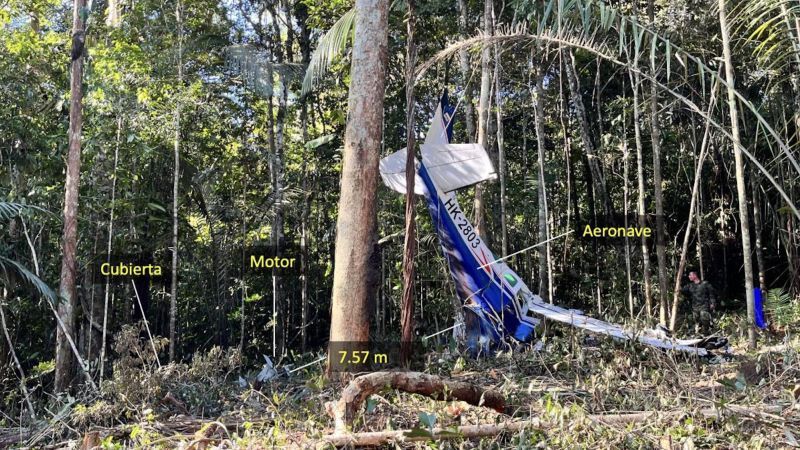 How could four children survive a plane crash in the Amazon? A new report offers clues