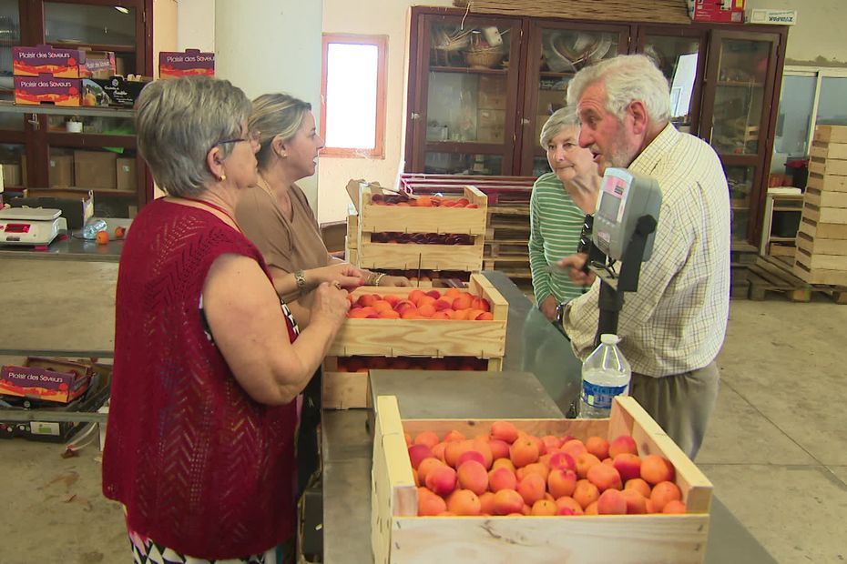 En deux jours, une exploitante agricole a écoulé 5 tonnes d'abricots, refusés par les grandes surfaces