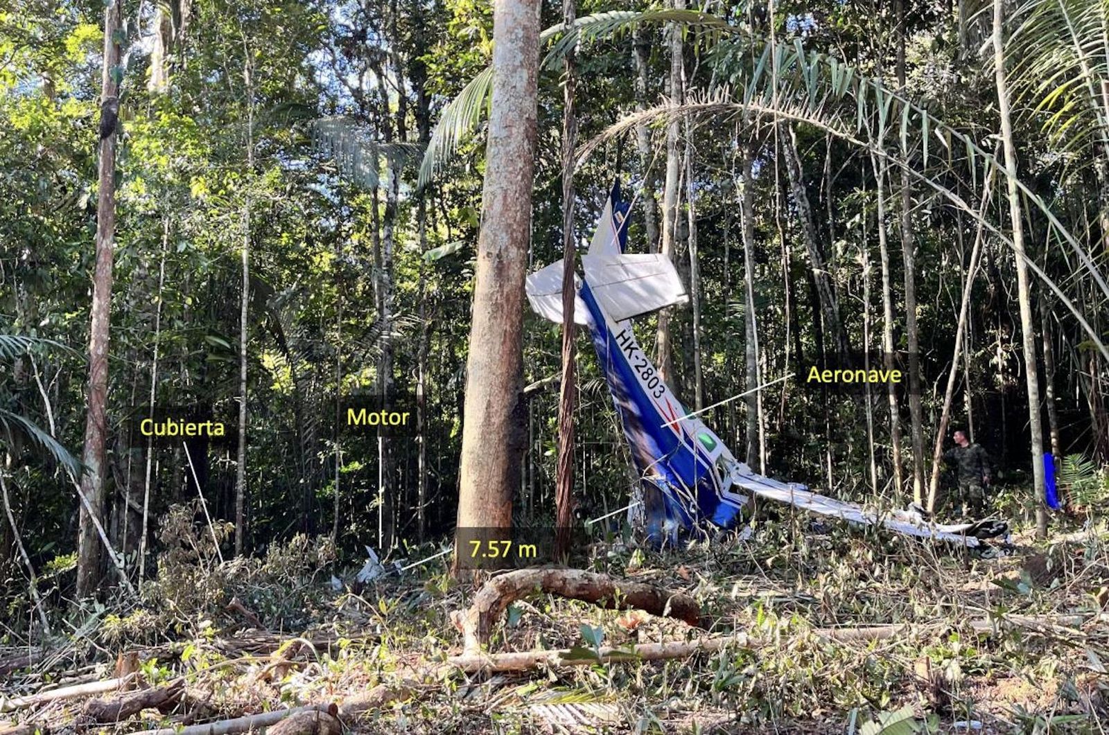 How could four children survive a plane crash in the Amazon? New report offers clues