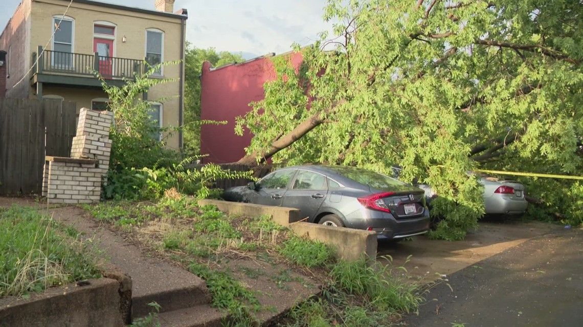 'Everybody is kind of shaken': Neighbors, business owners react to woman killed by fallen tree