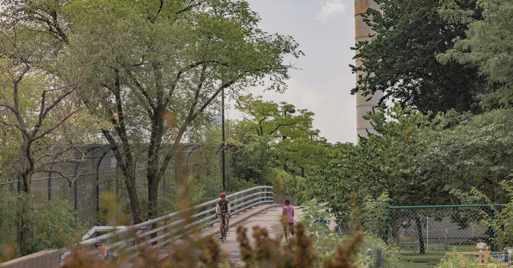 Fatal Shooting of a Teenager Shocks an Urban Oasis