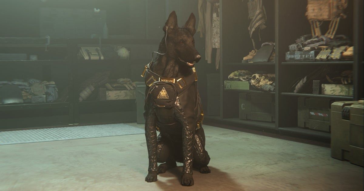 Call of Duty is adding a dog again