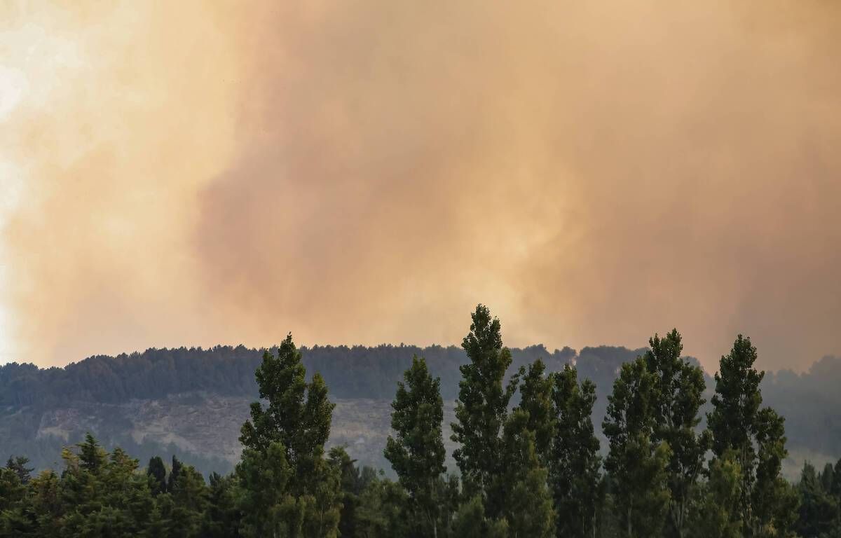 Feux de forêts : Le département des Bouches-du-Rhône en alerte rouge vendredi