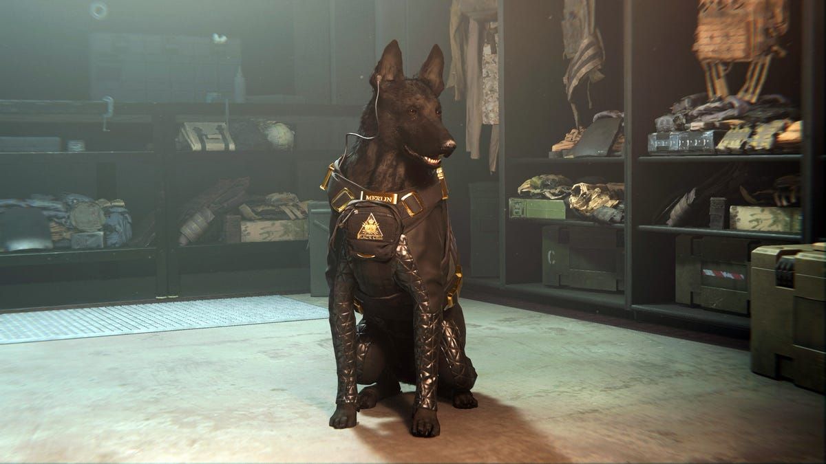 Woof, Woof, Bang, Bang: Dogs Are Back In Call Of Duty