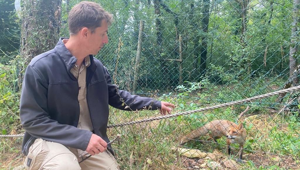 Un parc animalier endetté en Dordogne lance un appel aux dons