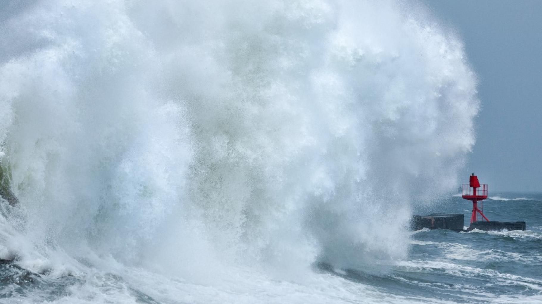 Tempête Patricia : une femme morte dans le Finistère, un arbre tombe sur enfant de 10 ans en Charente-Maritime