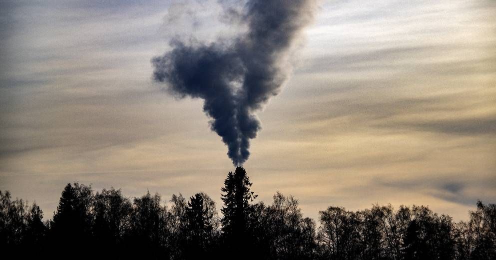 Du 25 décembre 1971 au 2 août 2023 : voici la progression du "Jour du Dépassement" de la Terre depuis 50 ans