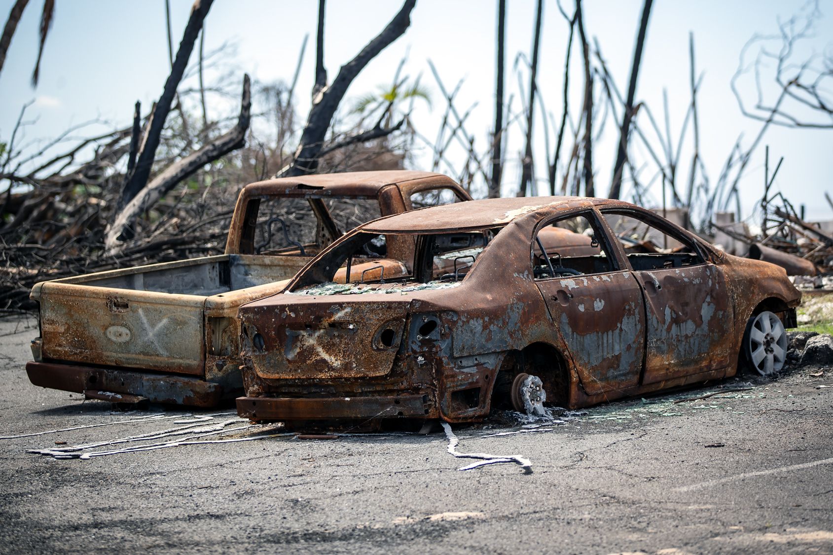 Lahaina Fire Cause Revealed: Maui Blames Fallen Power Line