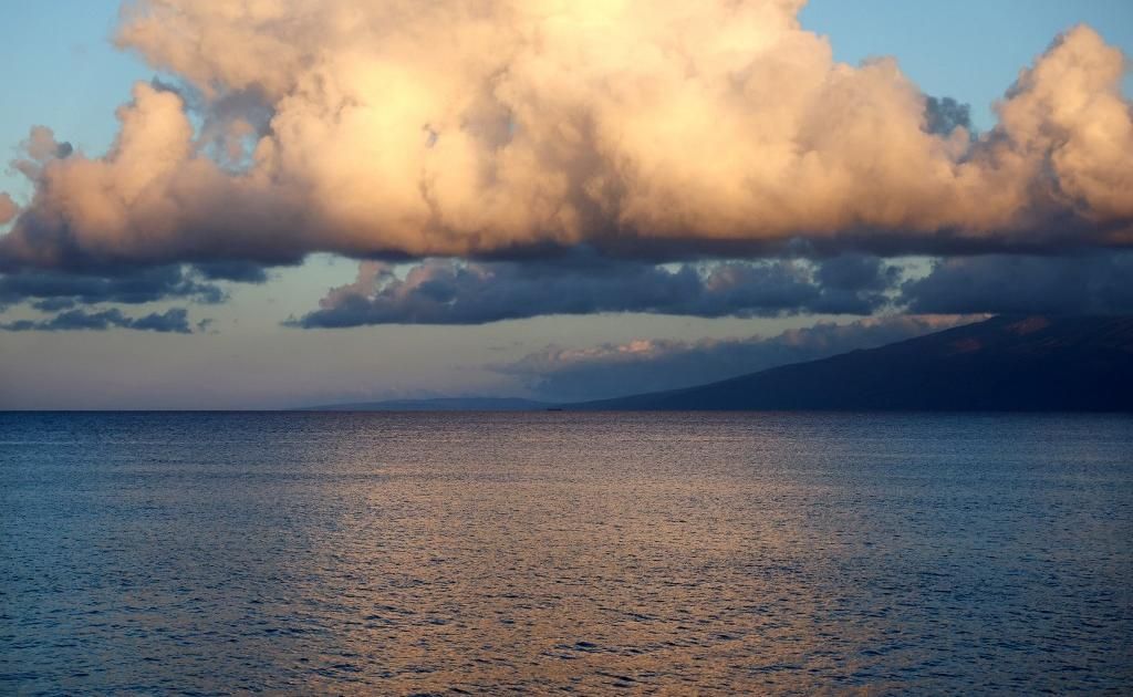 Nouvelle Zélande : à la dérive après être tombé dans l’océan, un pêcheur sauvé par sa montre au bout de 24 heures