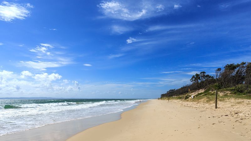 Australia shark attack: Swimmer dead in Bribie Island incident in Queensland