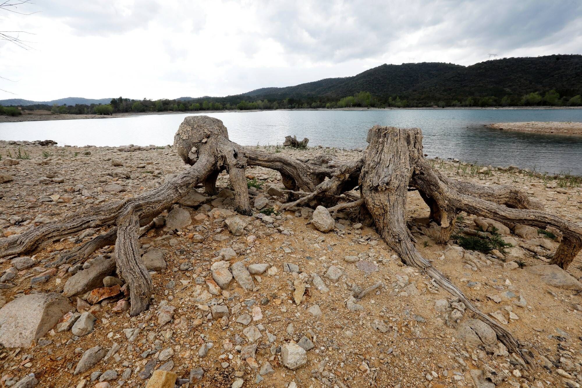 Sécheresse dans le Var: quel est le niveau d'alerte dans votre commune?