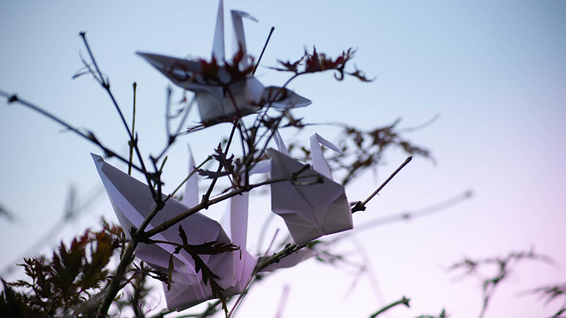 Un atelier origami onirique bientôt dans les superbes jardins du Musée Delacroix