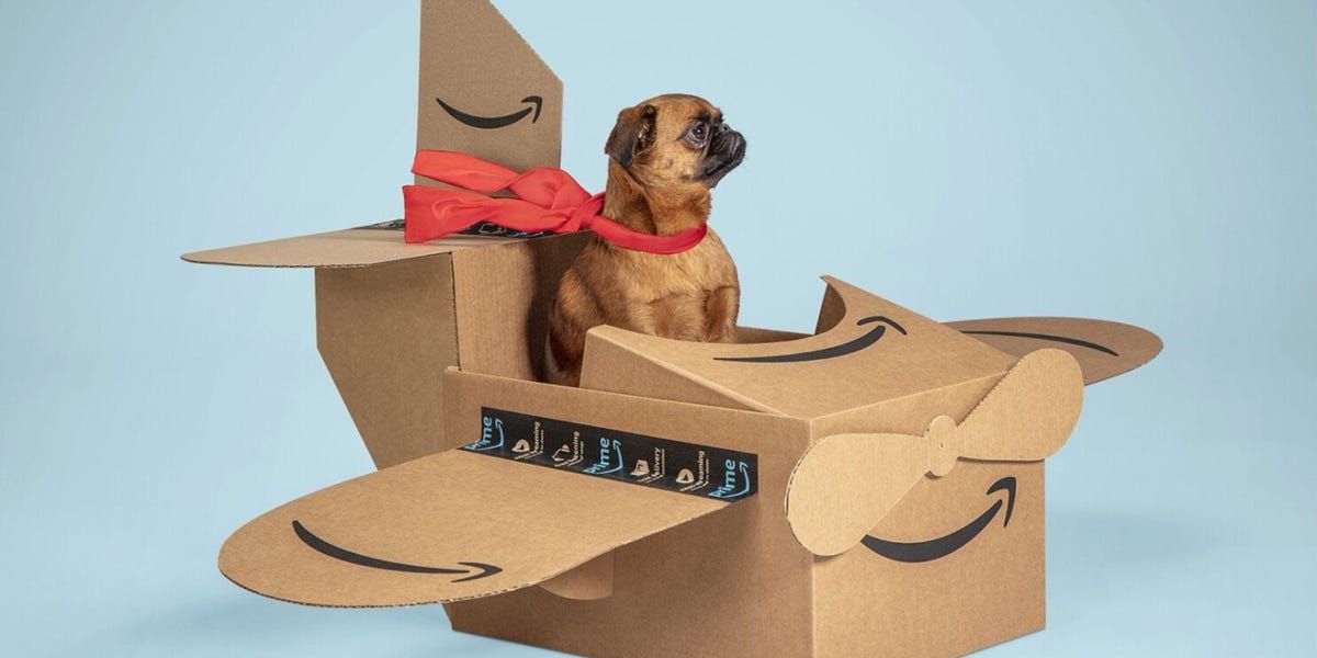 19 Amazon Pet Day Deal Highlights From Our Pet-Owning Staff