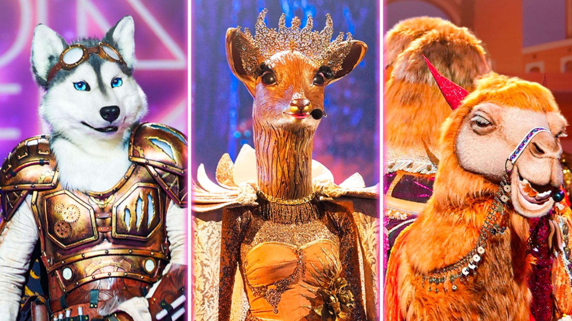 Dans " Mask Singer ", le Husky remporte la 5e saison, devant la Biche et le Chameau