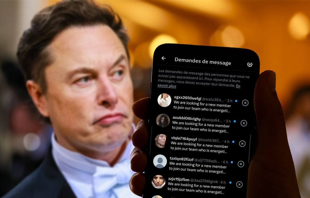 Réseaux sociaux : Sur Twitter, le nombre de spams s’envole et Elon Musk bat de l’aile