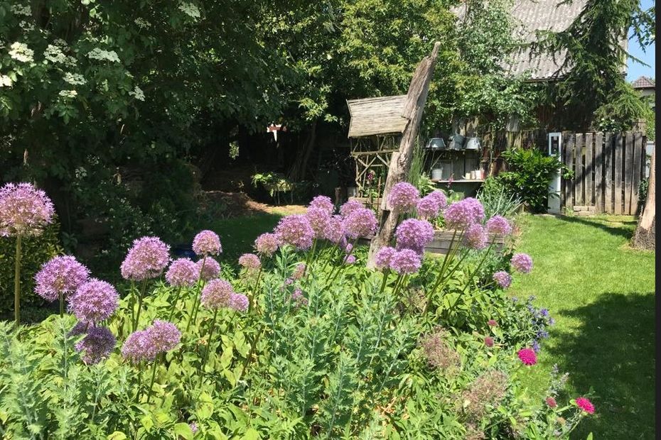 Des jardins extraordinaires à découvrir jusqu'au 4 juin en Alsace