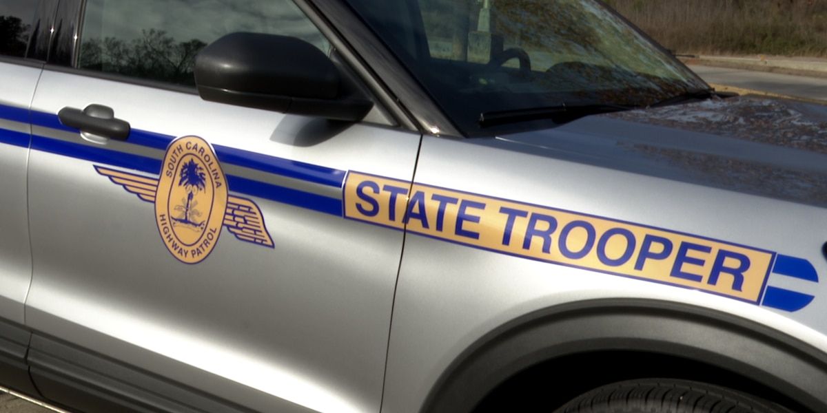 Troopers investigate Orangeburg Co. crash that killed pedestrian