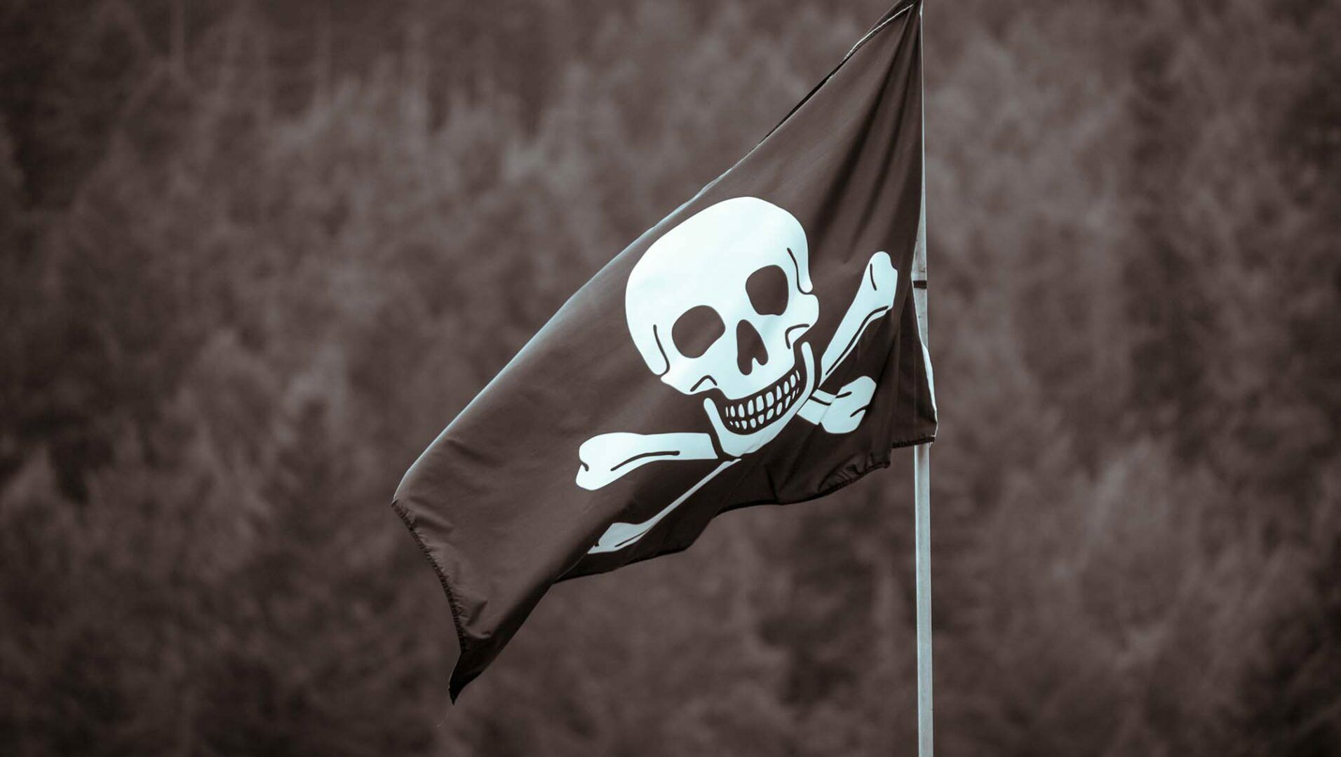 Créer son propre Netflix : rencontre avec les nouveaux rois du piratage