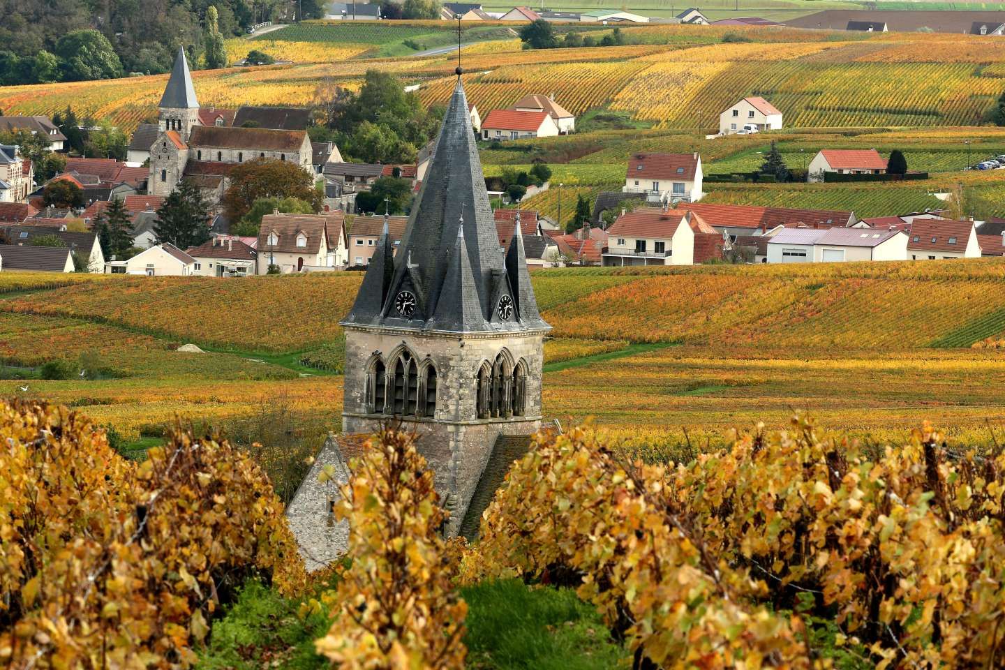 Les maires des petites communes rurales s’affirment comme un maillon essentiel de la transition écologique