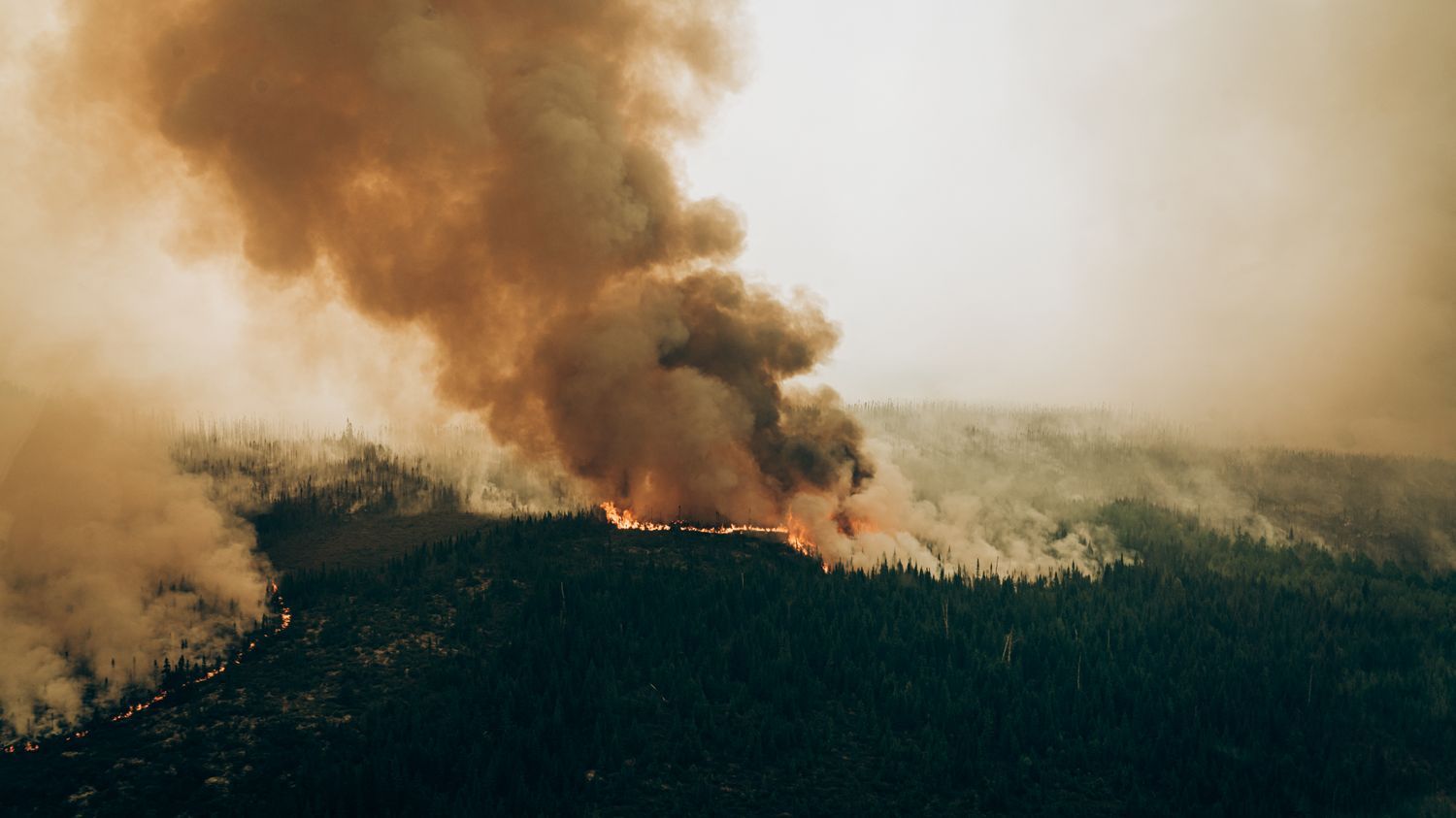 "C'est notre mode de vie qui est menacé" : au Canada, les incendies menacent aussi les traditions des communautés autochtones