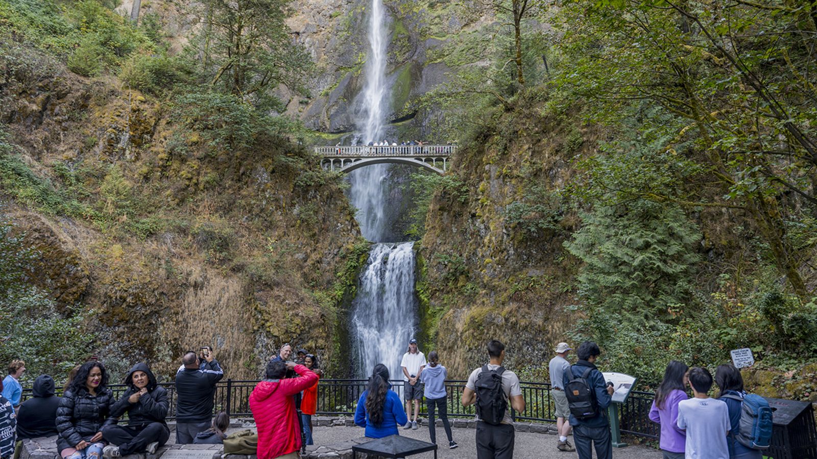 Hiker slips, falls to his death in front of wife and 5 children on Oregon nature trail