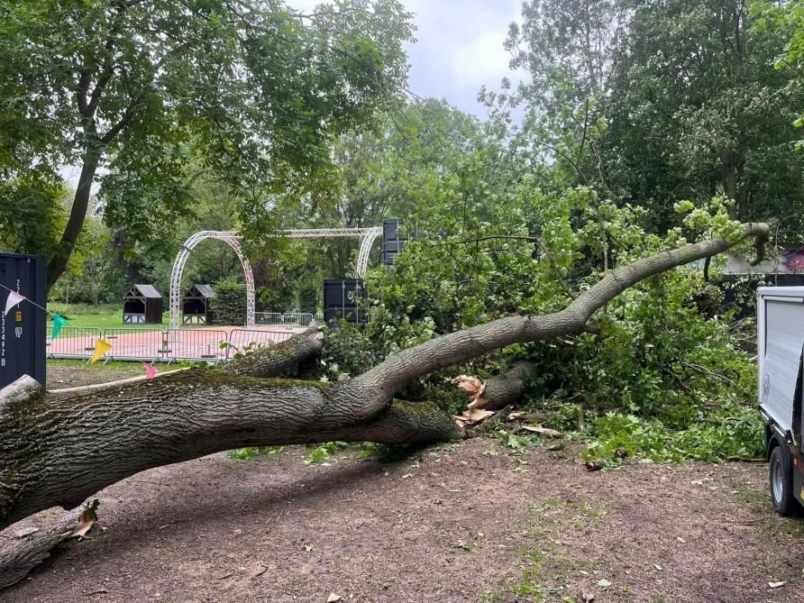 La tempête Patricia n’a pas épargné le parc de la Roseraie à Reims