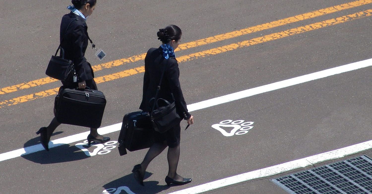 Ce que les hôtesses de l'air remarquent lorsque les passagers montent dans l'avion