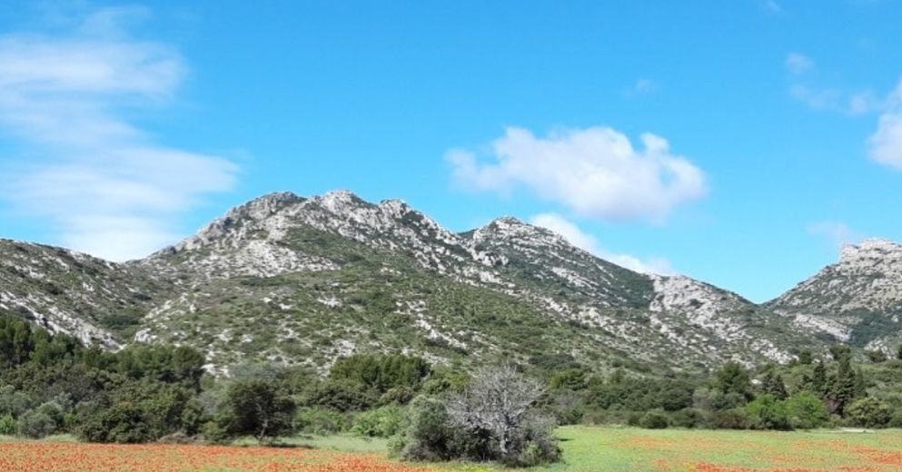 Bouches-du-Rhône : les Calanques et 17 autres massifs fermés vendredi 4 août, en raison du risque d'incendie