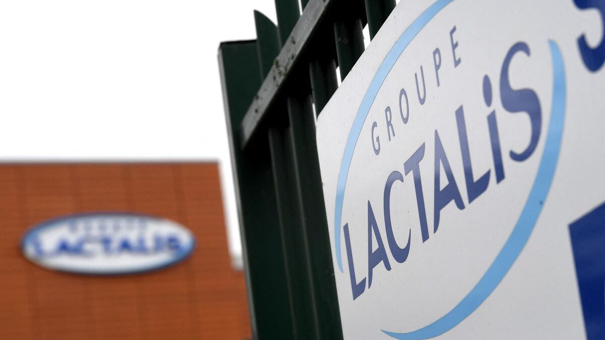 Prix du lait : Lactalis essuie un refus des producteurs après une proposition d’augmentation