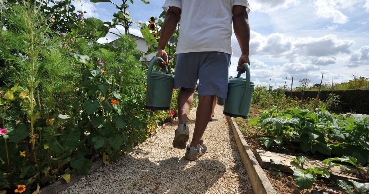 Alpes-Maritimes : face au manque d'eau, la commune de Caussols refuse d'accueillir de nouveaux maraîchers