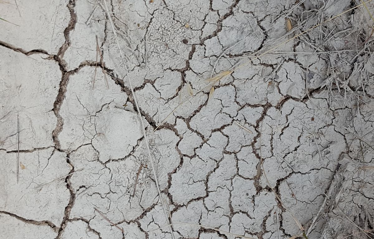 Gard : Une centaine de communes reconnues en état de catastrophe naturelle