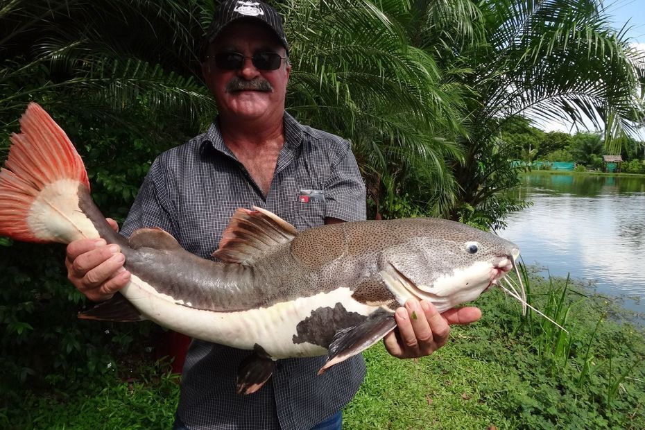 Queensland : Les restes d'un Australien disparu retrouvés dans deux crocodiles