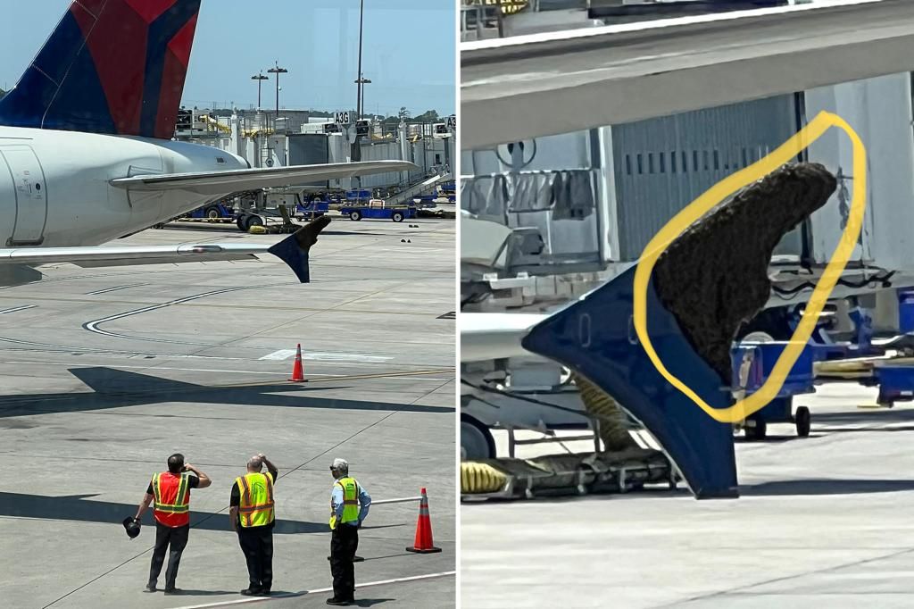 Swarm of bees on Delta plane wing delays flight for hours